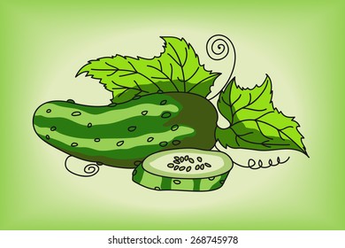 Cucumber on the green background. Editable vector illustration.
