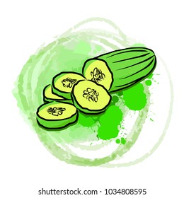 Cucumber on green painted background. Beautiful hand drawn vector sketch. Colorful elements for social media and print decoration.