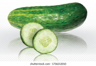 Cucumber on a transparent background. Vector mesh illustration