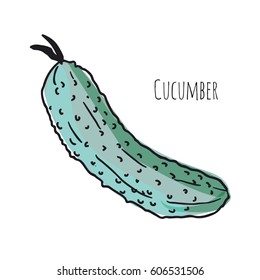 cucumber on a white background