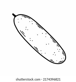 Gurken auf weißem Hintergrund. Gesundes Gemüse. Vektordoodle-Illustration. Handgezeichnete Skizze.