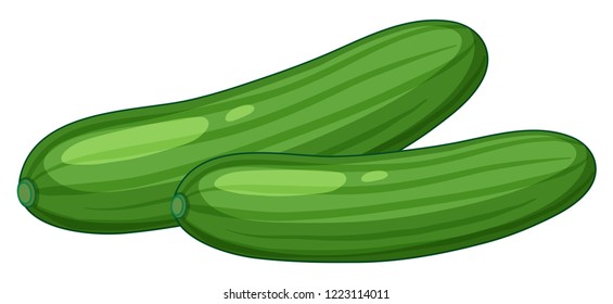 Cucumber on white background illustration