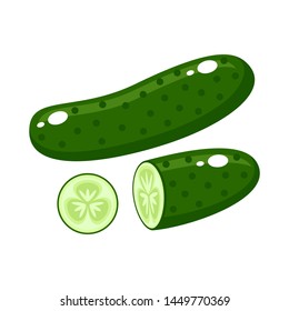 Cucumber on a white background. Vector illustration