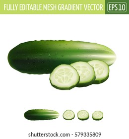 Cucumber on white background. Vector illustration