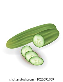 Cucumber on white background, whole and sliced, vector