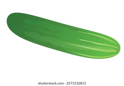 Cucumber on white background, whole and half, vector