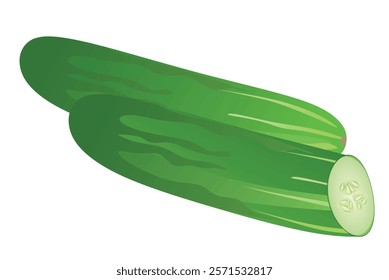 Cucumber on white background, whole and half, vector