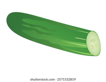 Cucumber on white background, whole and half, vector