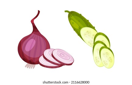 Cucumber and onion fresh vegetable slices vector illustration