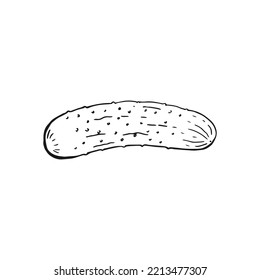 Cucumber outline. Hand drawn vector illustration. Farm market product, isolated vegetable.