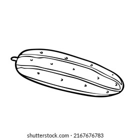 cucumber outline illustration,isolated on white background,top view