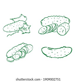 Cucumber outline logo in vector hand drawn style isolated on white background. Illustration of cucumber