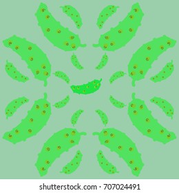 Cucumber pattern. Hand drawn.