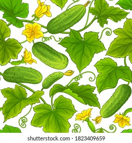 cucumber pattern on white background