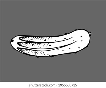 
cucumber, pen-drawn, black and white