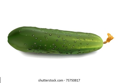 cucumber pickle vegetables isolated on white background