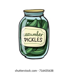 cucumber pickles/ vector illustration