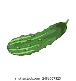El pepino es espinoso, aislado sobre un fondo blanco. Ilustración vectorial de una verdura para textiles, etiquetas, diseños de otoño.
