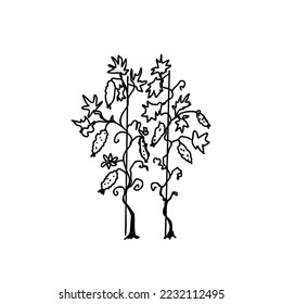 Cucumber plant linear doodle, hand drawing sketch isolated on white background. Farm, gardening collection