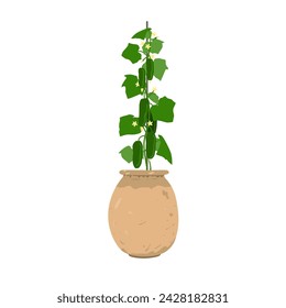 Cucumber plant with vegetables in stylish old clay flowerpot. Potted onion growing at home, isolated vector illustration