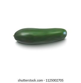 Cucumber realistic vector. Vegetable with shadow. Kitchen-garden