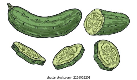 Emblemas del conjunto de pepinos coloridos estilo vintage verde maduro saborizante vegetal con vitaminas sanas para la dieta de verano ilustración vectorial