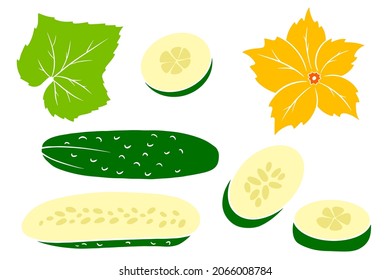 Cucumber set. Fresh cucumbers, wedges, half a cucumber, flower and leaf. In a cartoon style. Vector illustration for design and decoration.