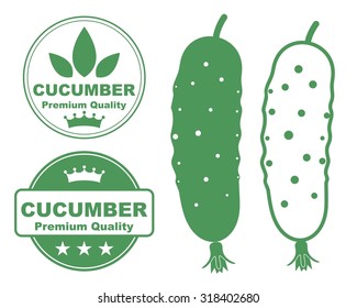 Cucumber set. Green cucumber on white background  