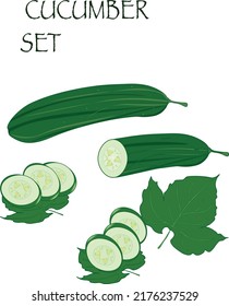 Cucumber set. Vector illustration. Label for markets, shops, garden vegetables.