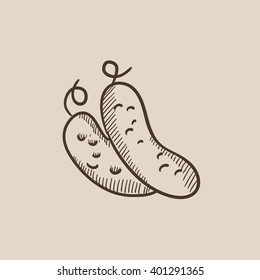 Cucumber sketch icon.