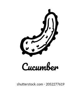 Cucumber sketch logo. Hand drawn ink brush vector illustration isolated on white background. Vegetable icon for logotype, infographic, website or app design.