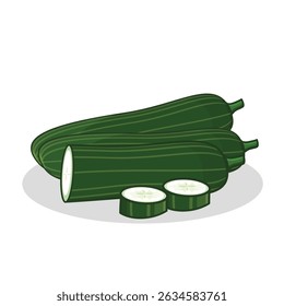 Pepino. fatia de pepino. pepino fresco. ilustração de pepino