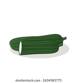 Pepino. fatia de pepino. pepino fresco. ilustração de pepino
