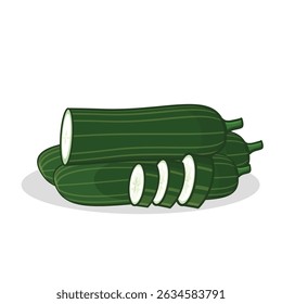 Pepino. fatia de pepino. pepino fresco. ilustração de pepino