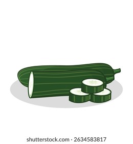 Pepino. rodaja de pepino. pepino fresco. ilustración de pepino