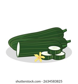 Pepino. fatia de pepino. pepino fresco. ilustração de pepino