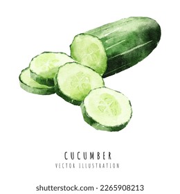 Cucumber slage pintura acuarela dibujada a mano aislada en fondo blanco