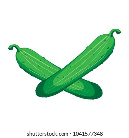 Cucumber and slice isolated on white photo-realistic vector illustration