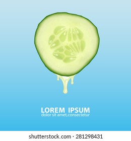 Cucumber slice with juice. High quality vector. EPS10 vector