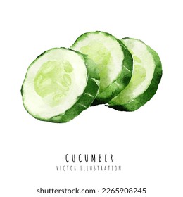 Cucumber slice watercolor painting isolated on white background