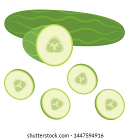 Cucumber and sliced cucumber on white background. Isolated.