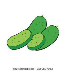 Cucumber slices arranged neatly fresh clean green veggie Vector illustration