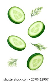 Cucumber slices with dill isolated on white background. Realistic vector illustration.