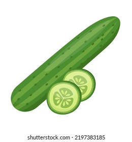 cucumber with slices flat vector illustration clipart isolated on white background