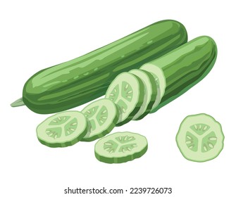 Cucumber with slices isolated on white background. Vector illustration. Ingredients for cooking.