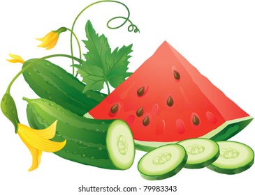 Cucumber slices and juicy watermelon