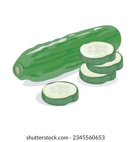 cucumber with slices on white background, vector illustration.