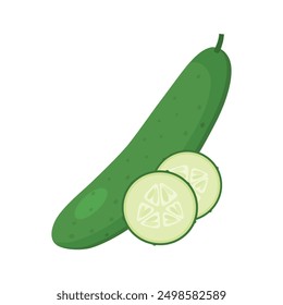Cucumber with slices vector illustration.