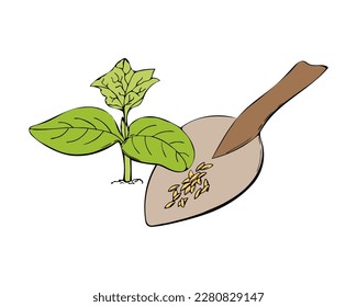 Cucumber sprout seedlings on soil, seeds. Hand drawn outline doodle. Vector illustration