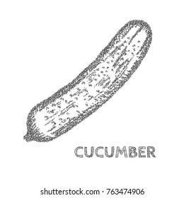 Cucumber Stippling Style on White Background. Vector illustration